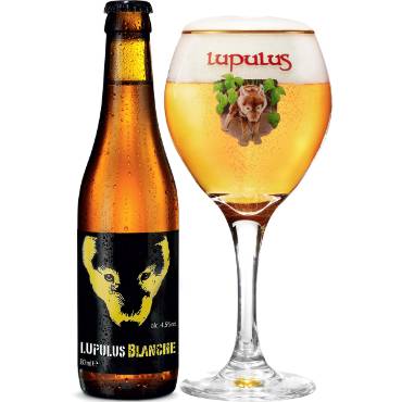 Uitgeschonken Lupulus Blanche in bijhorend glas