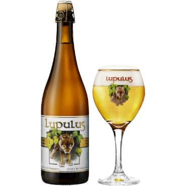 Uitgeschonken blonde Lupulus in bijhorend glas