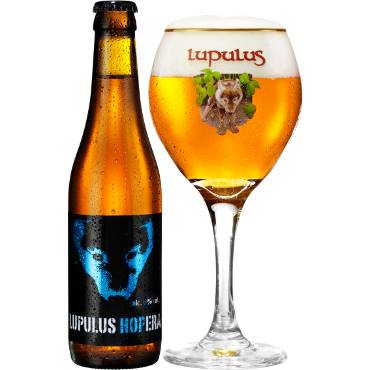 Uitgeschonken Lupulus Hopera in bijhorend glas