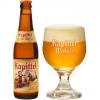 Uitgeschonken Kapittel Tripel Abt 10° in bijhorend glas